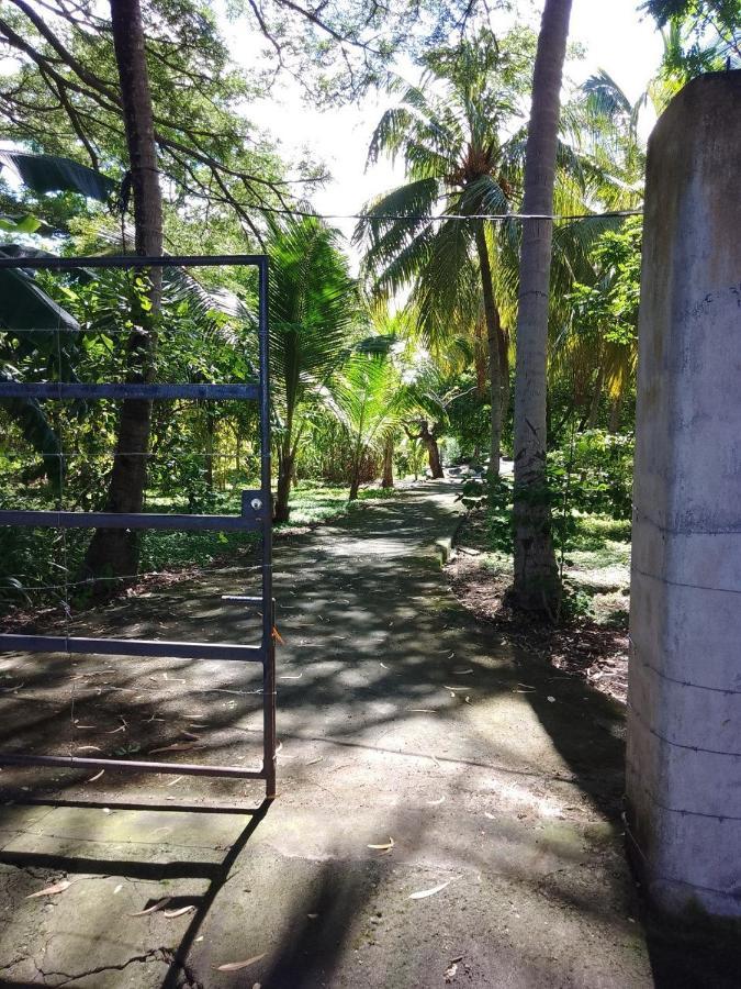 Ostello Rancho Tranquillo Moyogalpa Esterno foto