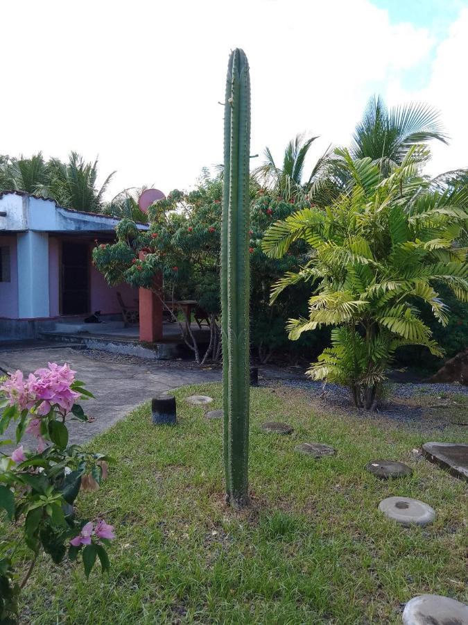 Ostello Rancho Tranquillo Moyogalpa Esterno foto